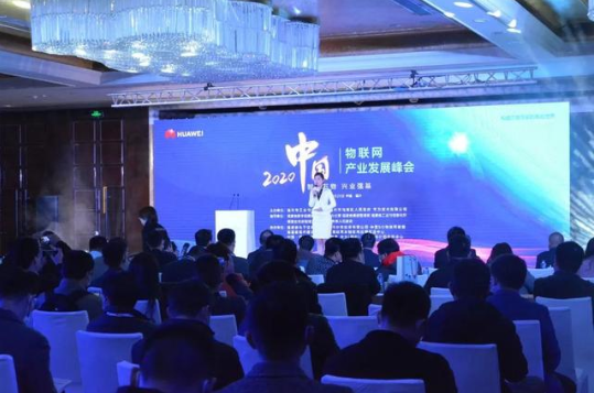 星云大數據亮相中國物聯(lián)網(wǎng)產(chǎn)業(yè)發(fā)展峰會(huì )